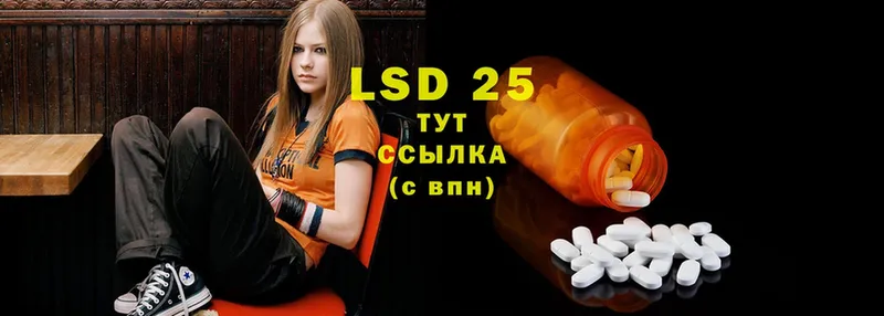 ЛСД экстази ecstasy  Заводоуковск 